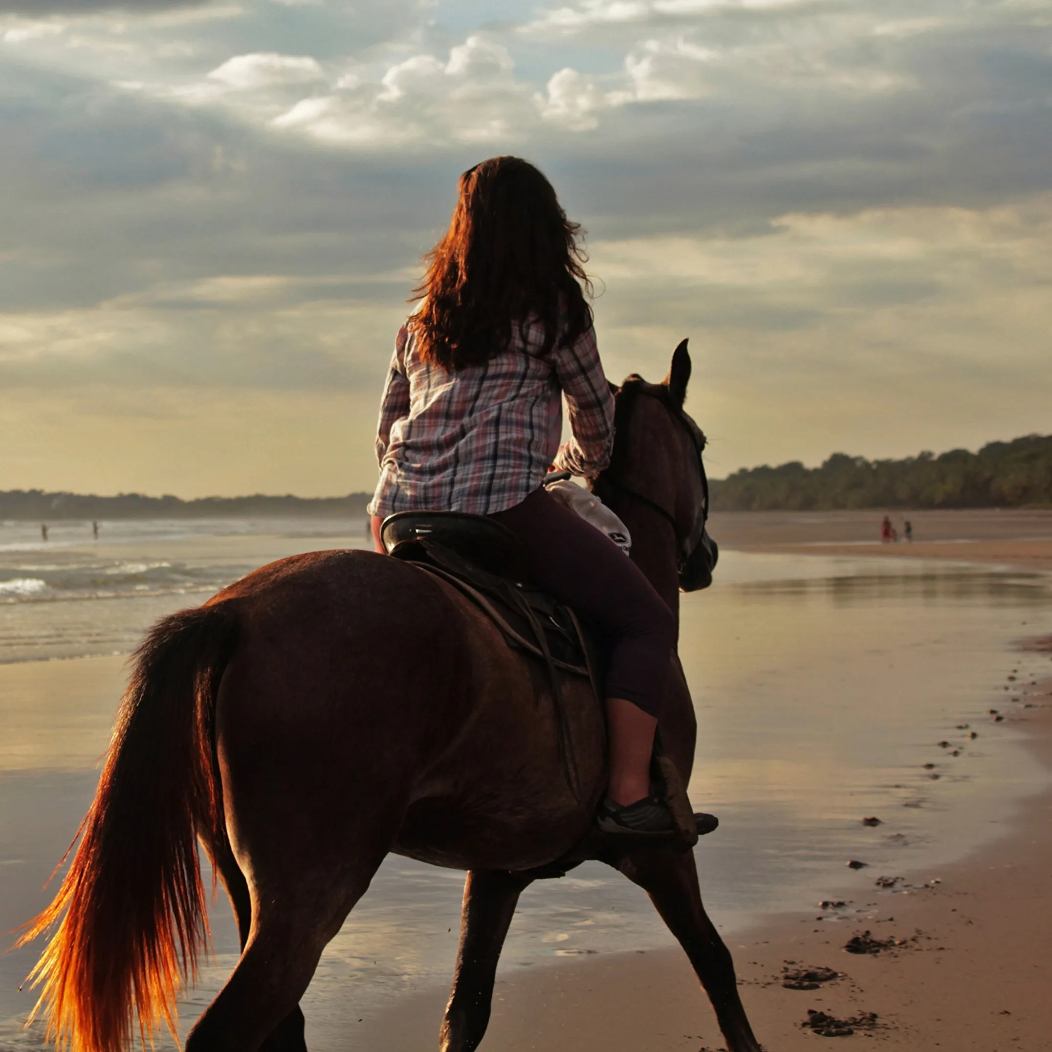 Horseback riding